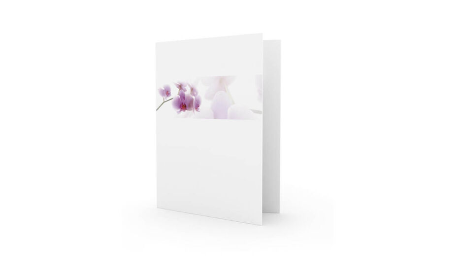 Nova Orchidee in Balk
